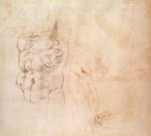 躯干研究（红色和黑色粉笔在纸上） 作者 米开朗基罗（Michelangelo Buonarroti）